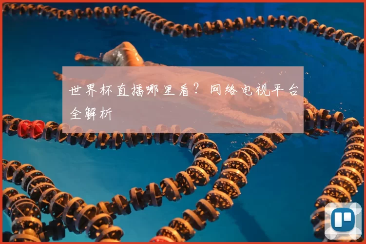 世界杯直播哪里看?网络电视平台全解析