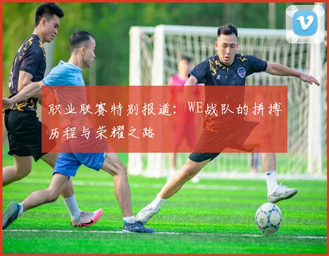 职业联赛特别报道:WE战队的拼搏历程与荣耀之路