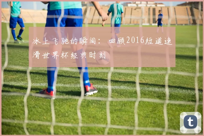 冰上飞驰的瞬间:回顾2016短道速滑世界杯经典时刻