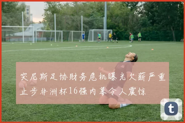 突尼斯足协财务危机曝光欠薪严重止步非洲杯16强内幕令人震惊