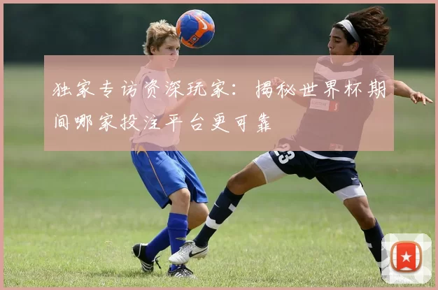 独家专访资深玩家：揭秘世界杯期间哪家投注平台更可靠
