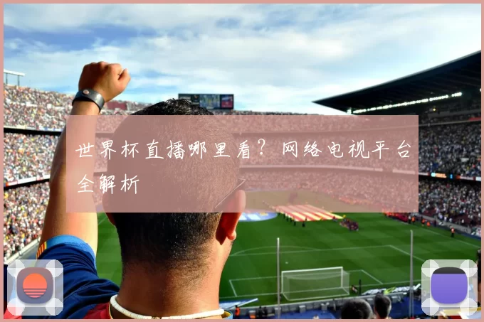 世界杯直播哪里看?网络电视平台全解析