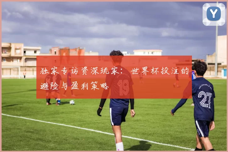 独家专访资深玩家:世界杯投注的避险与盈利策略