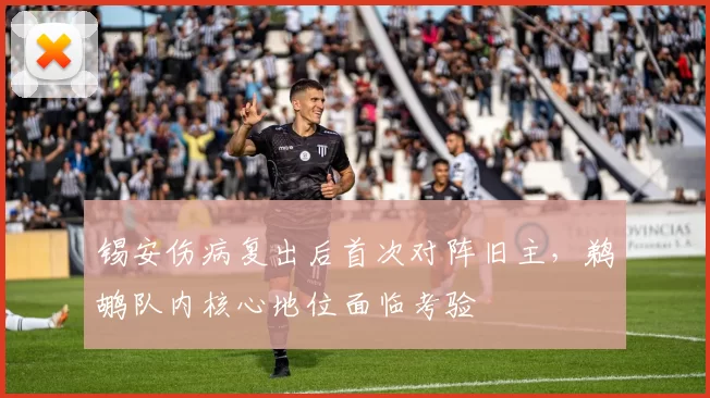 锡安伤病复出后首次对阵旧主,鹈鹕队内核心地位面临考验