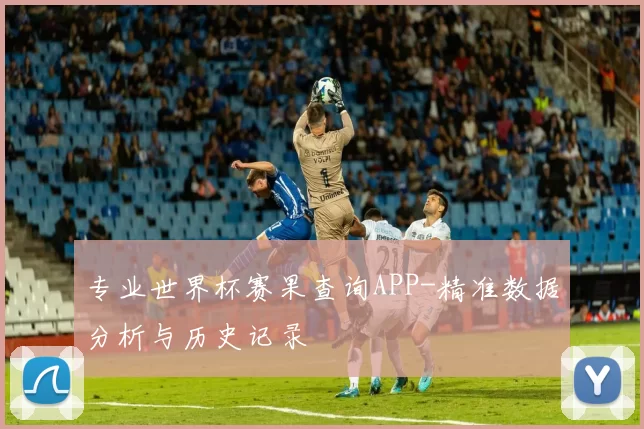 专业世界杯赛果查询APP-精准数据分析与历史记录