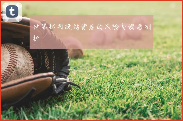 世界杯网投站背后的风险与诱惑剖析