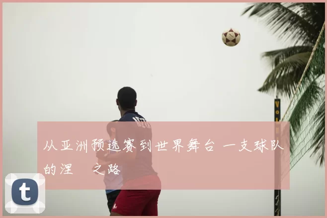 从亚洲预选赛到世界舞台 一支球队的涅槃之路