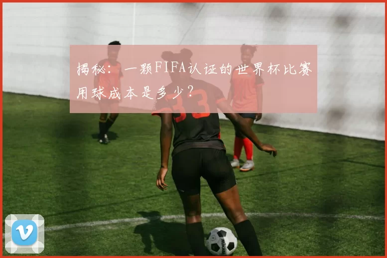 揭秘:一颗FIFA认证的世界杯比赛用球成本是多少?