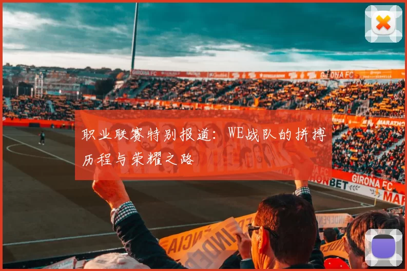 职业联赛特别报道:WE战队的拼搏历程与荣耀之路