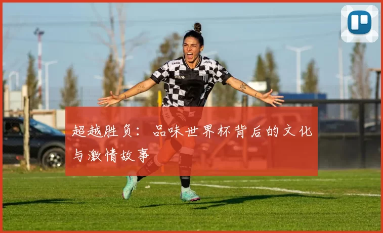 超越胜负：品味世界杯背后的文化与激情故事