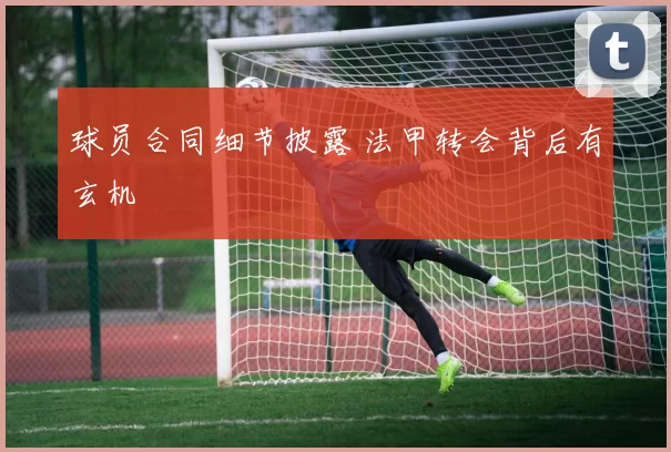 球员合同细节披露 法甲转会背后有玄机