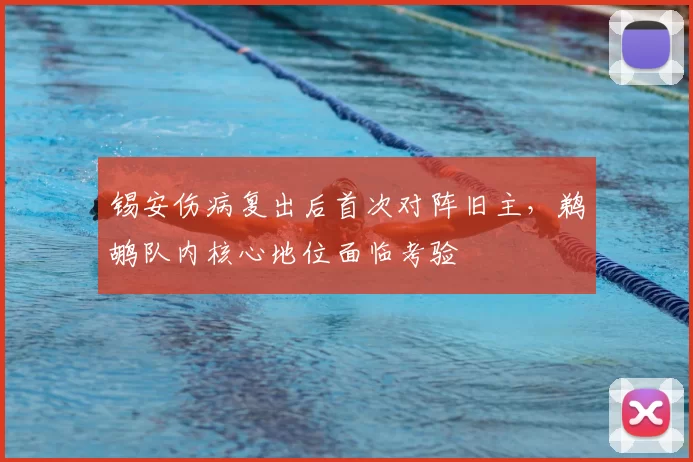 锡安伤病复出后首次对阵旧主,鹈鹕队内核心地位面临考验