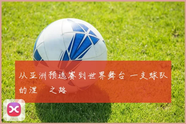 从亚洲预选赛到世界舞台 一支球队的涅槃之路